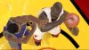 NBA 2K6 (Xbox 360)