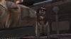 Borderlands 1 (Xbox 360/Xbox One)