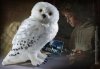  Мягкая игрушка The Noble Collection: Букля (Hedwig) Гарри Поттер (Harry Potter) (Большая)