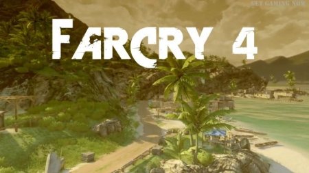  Far Cry 4   (PS4) Playstation 4