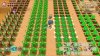 Игра Story of Seasons: Friends of Mineral Town (PS4) Playstation 4