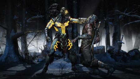 Mortal Kombat 10 (X) Box (PC) 