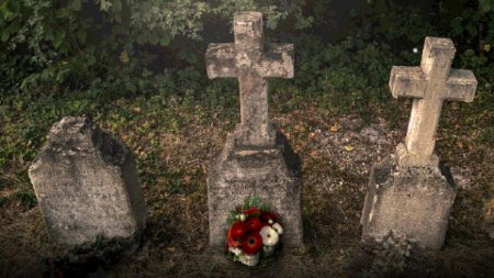 игра Conscript Deluxe Edition Русская Версия (Switch) для Nintendo Switch