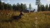 Way of the Hunter Русская Версия (PS5)