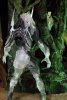   Predators 7 Series 7 Falconer Mid-Cloaked w/Bird (Neca)