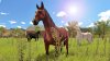 Игра My Little Riding Champion (PS4) Playstation 4