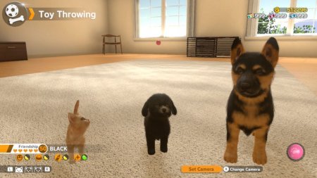  Little Frends: Dogs and Cats (Switch)  Nintendo Switch