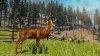 Купить игру Cabela's North American Adventures (PS3) для Sony Playstation 3