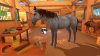 Игра Equestrian Training (PS4) Playstation 4