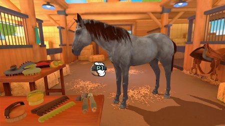 Игра Equestrian Training (PS4) Playstation 4