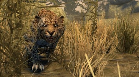 Cabela's Dangerous Hunts 2011 (Xbox 360)