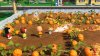 Snoopy & The Great Mystery Club (PS5)