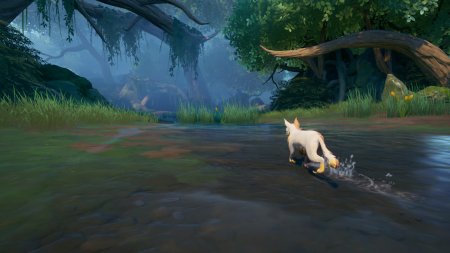 Warrior Cats: Clans of the Forest Feral Edition (PS5)