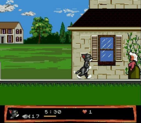    (Tom and Jerry)   (16 bit) 