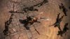 Conan (Конан) (Xbox 360/Xbox One)