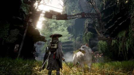 Beast of Reincarnation (PS5)