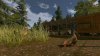 Real Farm Premium Edition Русская Версия (PS5)