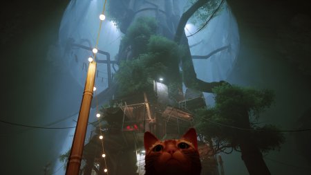 игра Stray Русская Версия (Switch) для Nintendo Switch