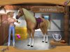 Барби: Мир больших открытий. Сборник Русская Версия Jewel (PC) 