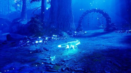 Spirit of the North Русская Версия (PS5)