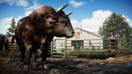 Far Cry 5   (Xbox One) USED / 