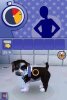 Игра The Sims 2: Pets (Питомцы) (DS) для Nintendo DS