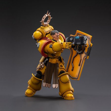  JoyToy: -  1:18 (Veteran Brother Thracius 1:18)  40K  (Warhammer 40K Fists) (JT3013) 12   