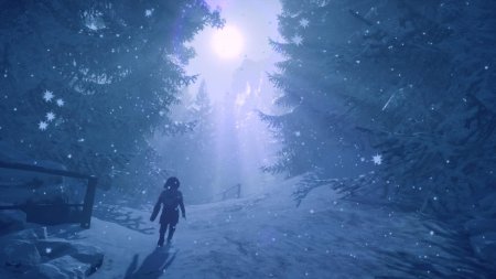 Skabma Snowfall Русская Версия (PS5)