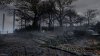 Игра Bloodborne: Порождение крови Коллекционное Издание Русская Версия (PS4) Playstation 4