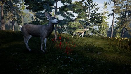 Hunting Simulator Русская Версия Box (PC) 