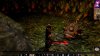 Neverwinter Nights Enhanced Edition (Xbox One) 