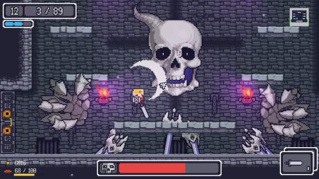 игра Dungreed (Switch) для Nintendo Switch