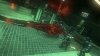 Prototype 2 Blackwatch Коллекционное издание (Collector’s Edition) (Xbox 360)