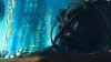Купить игру BioShock 2 Специальное Издание (Special Edition) (PS3) для Sony Playstation 3