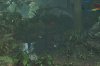 Monster Hunter Wilds Steelbook Edition Русская Версия (PS5)
