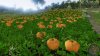 Игра Professional Farmer (2017): American Dream (PS4) Playstation 4