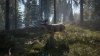 Игра The Hunter: Call of the Wild 2019 Edition Русская Версия (PS4) Playstation 4