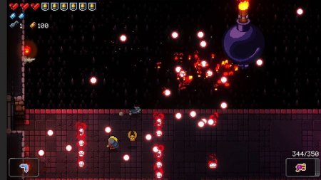  Enter the Gungeon Deluxe Edition (Switch)  Nintendo Switch