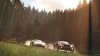 The Crew Русская Версия (Xbox One) 