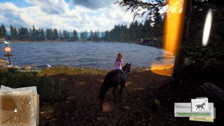Игра Windstorm: Start of a Great Friendship (PS4) Playstation 4