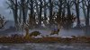 Игра Kingdom: Majestic Ограниченное издание (Limited Edition) Русская Версия (PS4) Playstation 4