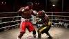 Купить игру Fight Night Round 4 (PS3) для Sony Playstation 3
