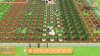 Игра Story of Seasons: Pioneers of Olive Town (PS4) Playstation 4