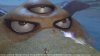 Игра Dragon Quest Heroes The World Tree's Woe and the Blight Below (PS4) Playstation 4