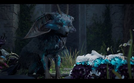 Купить Microsoft Xbox Series X/S скидка, магазин, дешево, цена