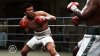 Купить игру Fight Night Round 4 (PS3) для Sony Playstation 3