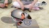 Купить игру EyePet Русская Версия для PlayStation Move (PS3) для Sony Playstation 3