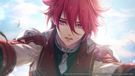 игра Radiant Tale (Switch) для Nintendo Switch