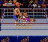 Реслинг Королевская битва (WWF Royal Rumble) (16 bit) 
