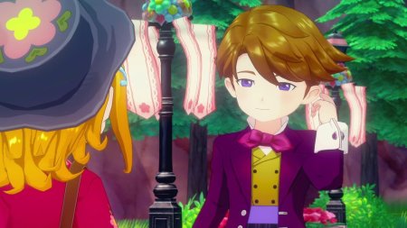 игра Story of Seasons: Grand Bazaar Ограниченное издание (Limited Edition) (Switch) для Nintendo Switch